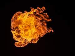 24. 스파르타 전사와 노예