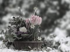 Affettuoso, 애정을 가지고.