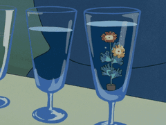 러브 랙 포커스