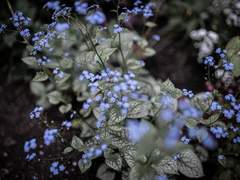 [슙진] 잊어간다는 건