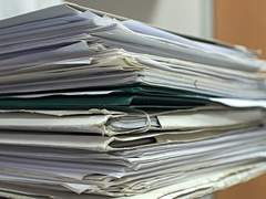 데이지 교수님의 심부름