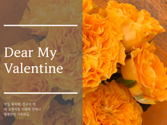 Dear My Valentine
