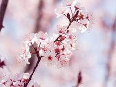 [명문국제고에서벌어지는이야기]01.재회