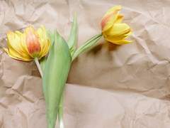 두근두근 생일 파티 준비