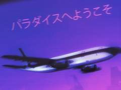 線畫에 담은 유월의 芝蘭