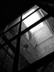 CoC 7th Fan Scenario