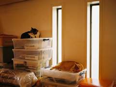 2016년 서울(2016年のソウル)