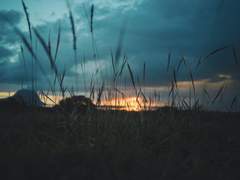 사랑을 기다리자, 다가올 때까지