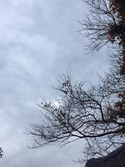 [마도조사] 過然後能改(과연후능개)