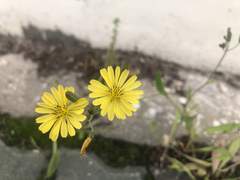 [틈] - 19 강민지