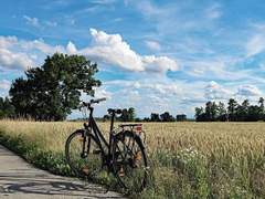 원 썸머 드라이브