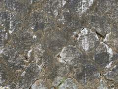 [여름이 좋은 이유] 외 1 - 20 황희정