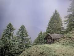 이해 못할 이야기