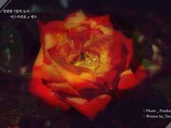 [이스세츠] 무제