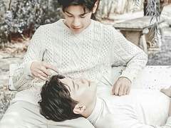 사자와 거북이와 그리고 별