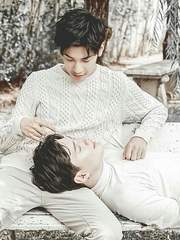 사자와 거북이와 그리고 별