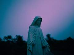 [제희건욱] 임시보호