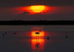 대륙력 40년의 어느 가을