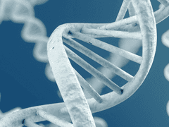 그날의 데이터 로드