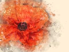 [윤+중+청]위왕(僞王), 교호한 인연