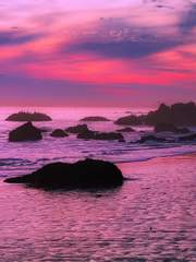 The Basic Story of Serena