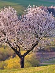 [강징]사계의 당신