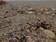 [Ctrl+Alt+Shift] - 19 유승빈