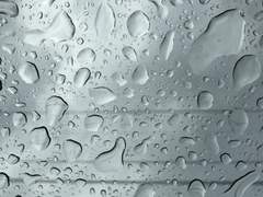 [소소한 행복] - 19 지수민