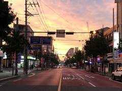 [고현사거리] - 20 신동오