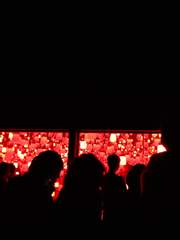 짝사랑에 관한 고찰