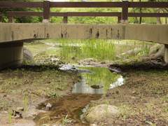 [다리] - 19 오유성