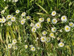 [2020년 여름 집 앞] 외 2 - 20 김지원