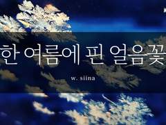 한 여름에 핀 얼음꽃