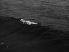 회생 불가의 경계선.