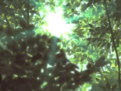 여름이 다가오기 때문이야