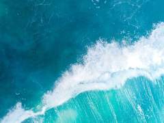 윤중청자] 페트리코(petricor)