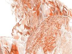 (여자)아이들 LION