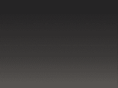 무능력과 거짓과 약속