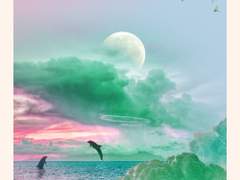 이것도 내 소중한 사랑.