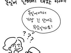 가장 긴 독일어 단어