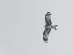 정말. 그렇게 생각해?