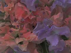 기다리지 못했어요