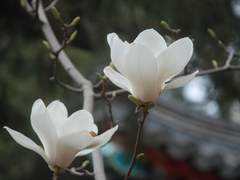 [백도] 청춘의 온도 #2