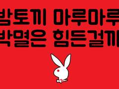 웹툰 마케터가 하는 일