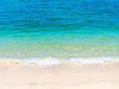 [국민]Dive into summer 06