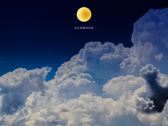 무컨펌 로고 디자인 :: CLOSE