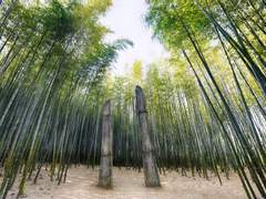 [신재조영] 끝에 선 사람.