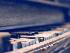 [이드아주] 죽은 인어는 어디로 가는가