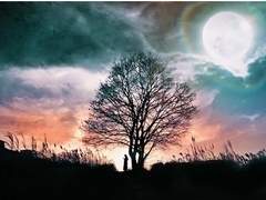 [국뷔]누구없소