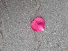 네 사람의 엔딩